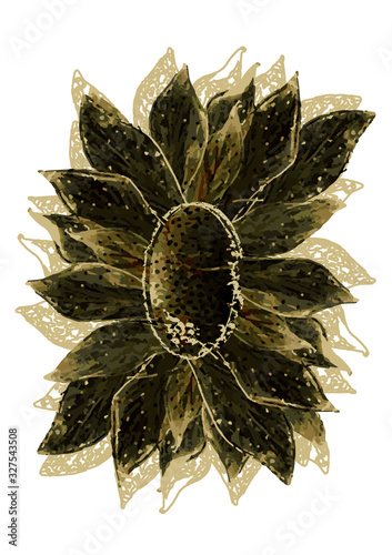 ABSTRAIT FLEUR