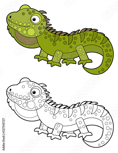 cartoon sketchbook american happy and funny lizard iguana isolated on white background - illustration