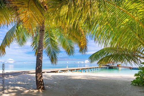 Fototapeta Naklejka Na Ścianę i Meble -  Maldives island as tropical landscape, beach. Exotic coastline with palm trees, beach swing and long wooden jetty. Luxury travel and summer vacation background design