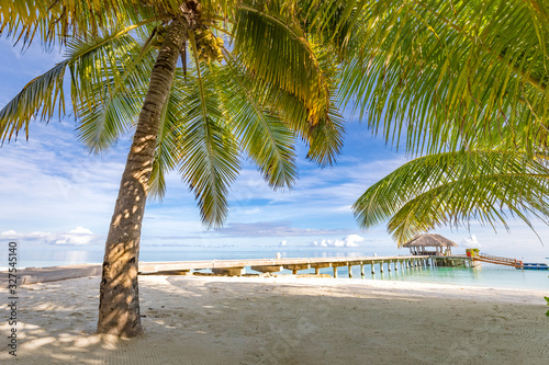 Maldives island as tropical landscape  beach. Exotic coastline with palm trees  beach swing and long wooden jetty. Luxury travel and summer vacation background design