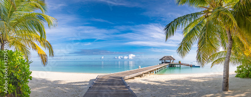 Maldives island as tropical landscape, beach. Exotic coastline with palm trees, beach swing and long wooden jetty. Luxury travel and summer vacation background design