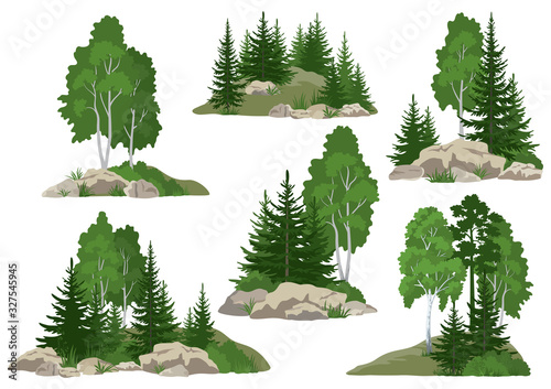 Set Landscapes, Isolated on White Background Coniferous and Deciduous Trees and Grass on the Rocks. Vector photo