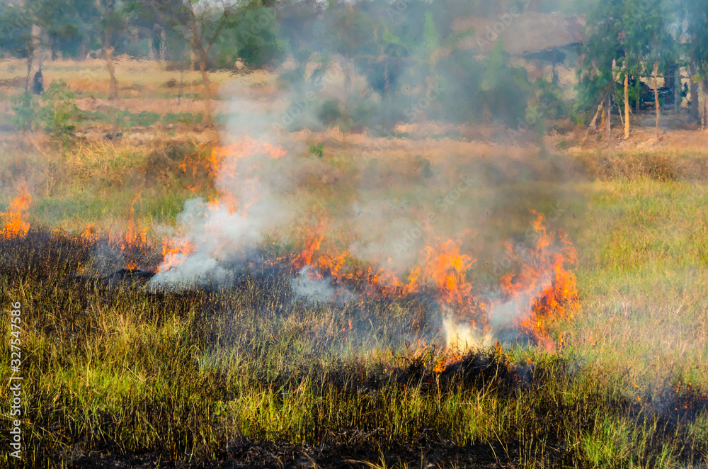 Burn grass,burning straw in rice plantation,destroying the environment.Area of illegal deforestation of vegetation native to the Laos forest,ASIA.
