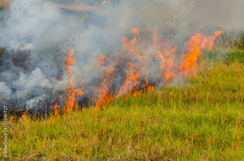 Burn grass,burning straw in rice plantation,destroying the environment.Area of illegal deforestation of vegetation native to the Laos forest,ASIA. © noon@photo