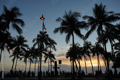 Fototapeta Naklejka Na Ścianę i Meble -  Tropical Sunset Palm Tree in Waikiki