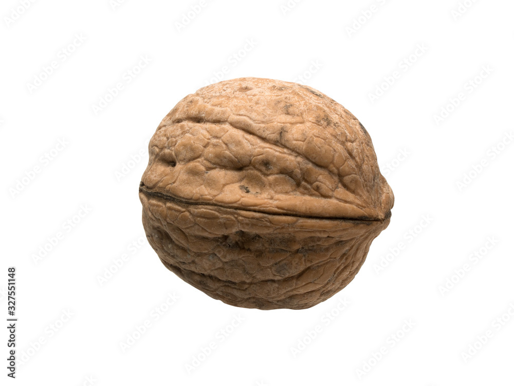 Closed ripe walnut isolated object Closed ripe walnut isolated object