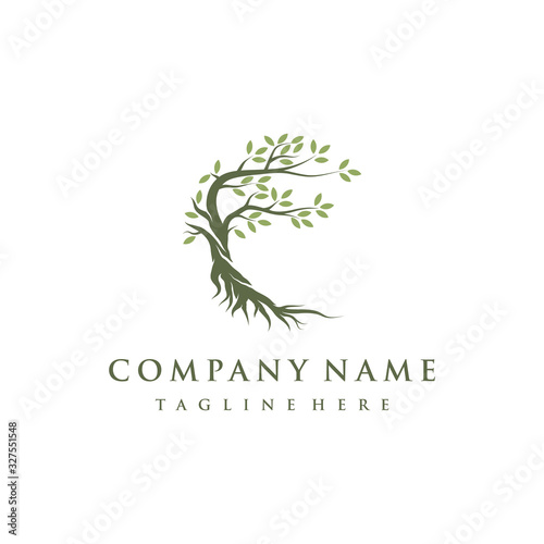 Tree and roots logo design vector isolated, abstract mangrove tree logo design