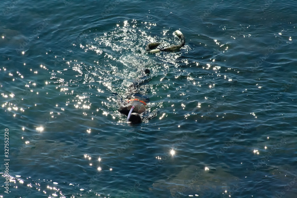 Φωτογραφία A man collects oysters at the bottom of the sea in a rubber suit with a mask and a special net for folding