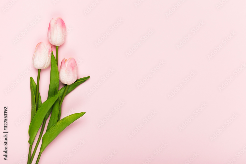 Copy-space blooming tulips on pink background - obrazy, fototapety, plakaty 