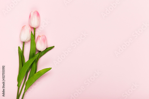 Copy-space blooming tulips on pink background