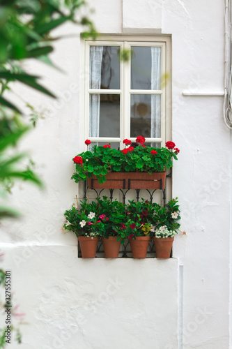 Traditional Andalusian window decoration with flowers in a house in Vejer de la Frontera, Spain © juanorihuela