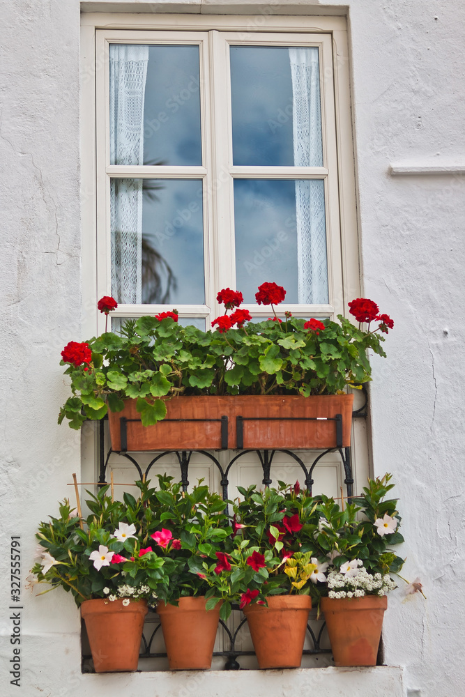 Traditional Andalusian window decoration with flowers in a house in Vejer de la Frontera, Spain