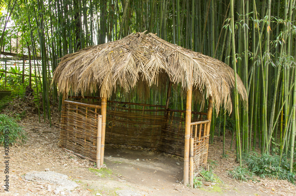 tropical hut in a bamboo grove