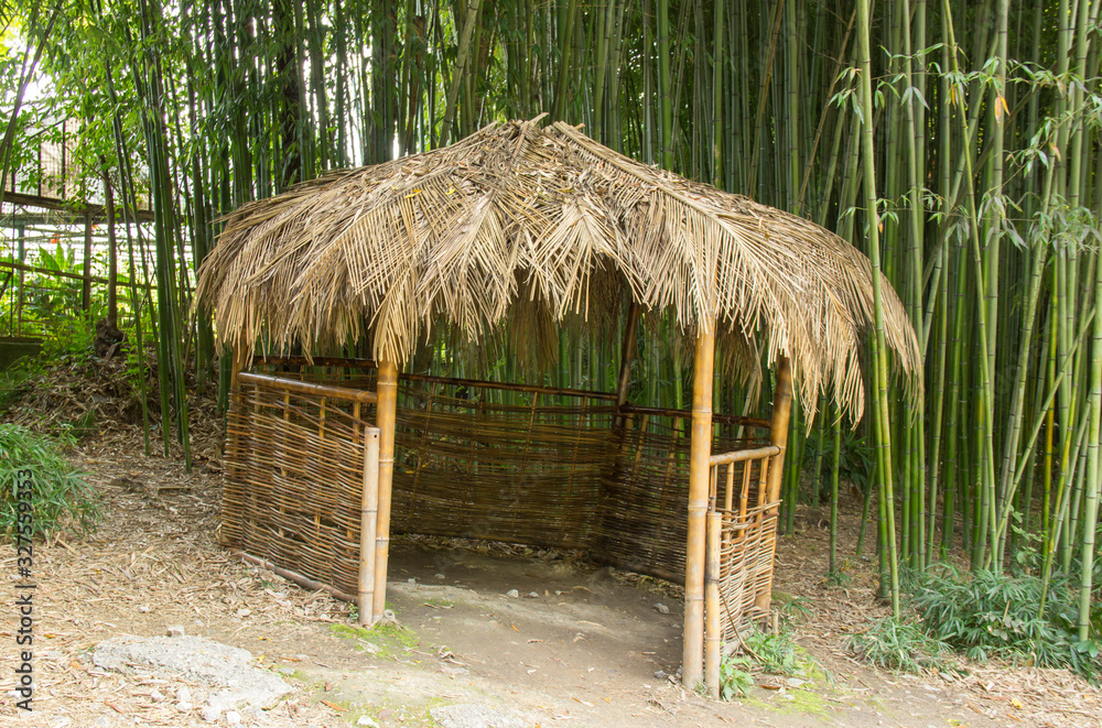tropical hut in a bamboo grove tropical hut in a bamboo grove
