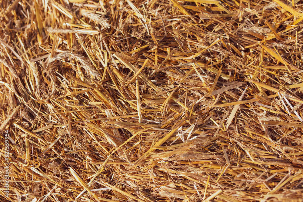 Stack of dry hay as an abstract background Stack of dry hay as an abstract background