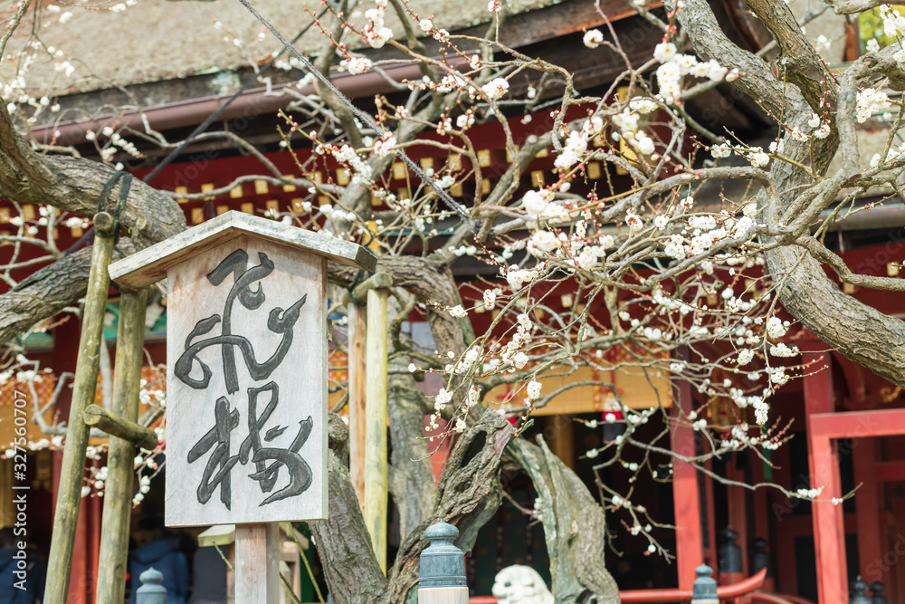大宰府天満宮の飛梅 Stock Photo | Adobe Stock