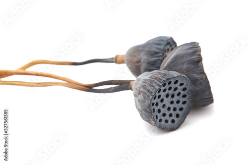 Dry lotus