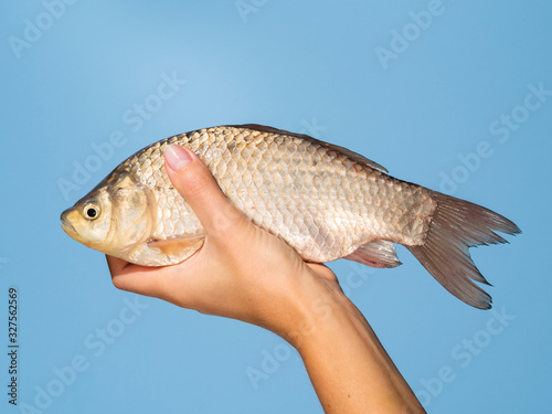 Hand holding fresh fish on blue background
