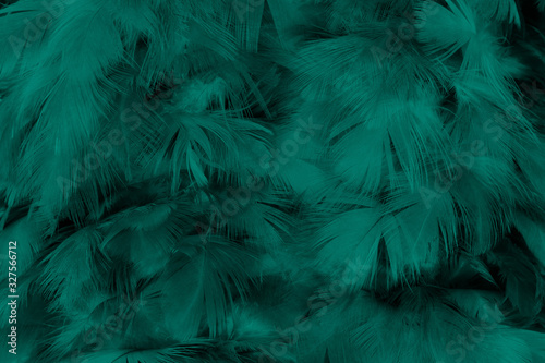 Beautiful dark green viridian vintage color trends feather texture background