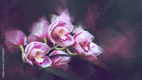 background Cymbidium orchids. Digital drawing orchids oil paint. Full frame, Space for text. background flower. Cymbidium
