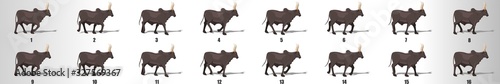 Bull walk cycle animation frames, loop animation sequence sprite sheet 