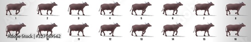 Buffalo cycle animation frames, loop animation sequence sprite sheet 