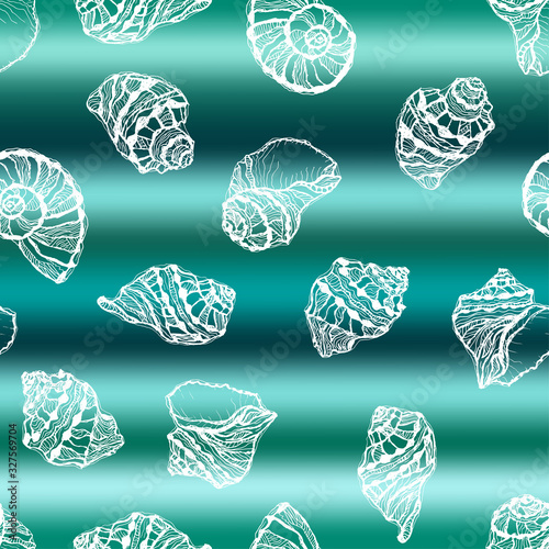 Vector illustration of marine seamless pattern.White hand drawing sea shells on abstract sea wave background