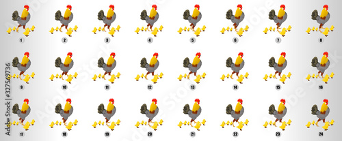 Hen Walk Cycle animation sequence with chiks, loop animation sprite sheet photo