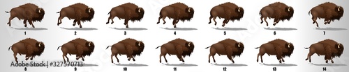 Bison Run cycle animation frames, loop animation sequence sprite sheet 