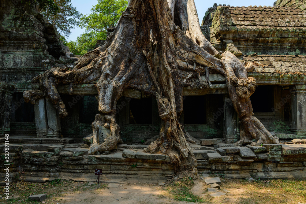 Détail sur les racines d'un ficus géant mangeant le mur de la façade Est du temple Preah Khan dans le domaine des temples de Angkor, au Cambodge Détail sur les racines d'un ficus géant mangeant le mur de la façade Est du temple Preah Khan dans le domaine des temples de Angkor, au Cambodge
