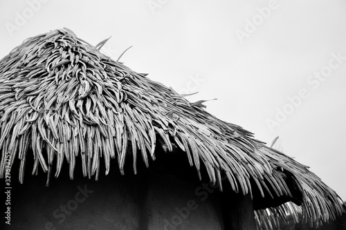 Tropical Hut roof shot in black and white 