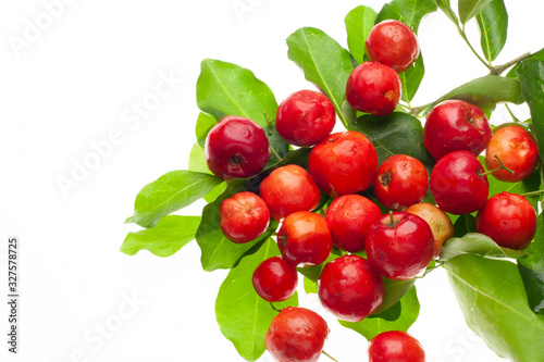 Photos cacho de acerola fresca, fruta tropical