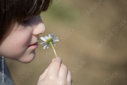 Close-up of child smelling a daisy