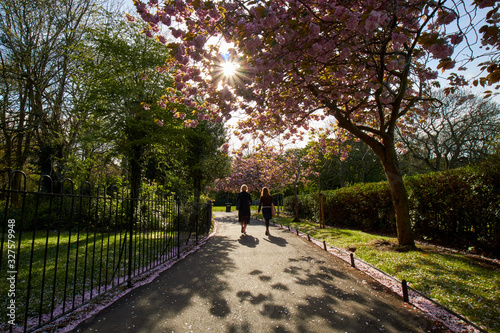 Photography St Stephen's Green park, in Dublin, Ireland