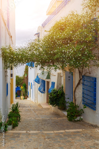 Narrow street in the Mediterranean style in Tunisia. Sidi Bou Said
