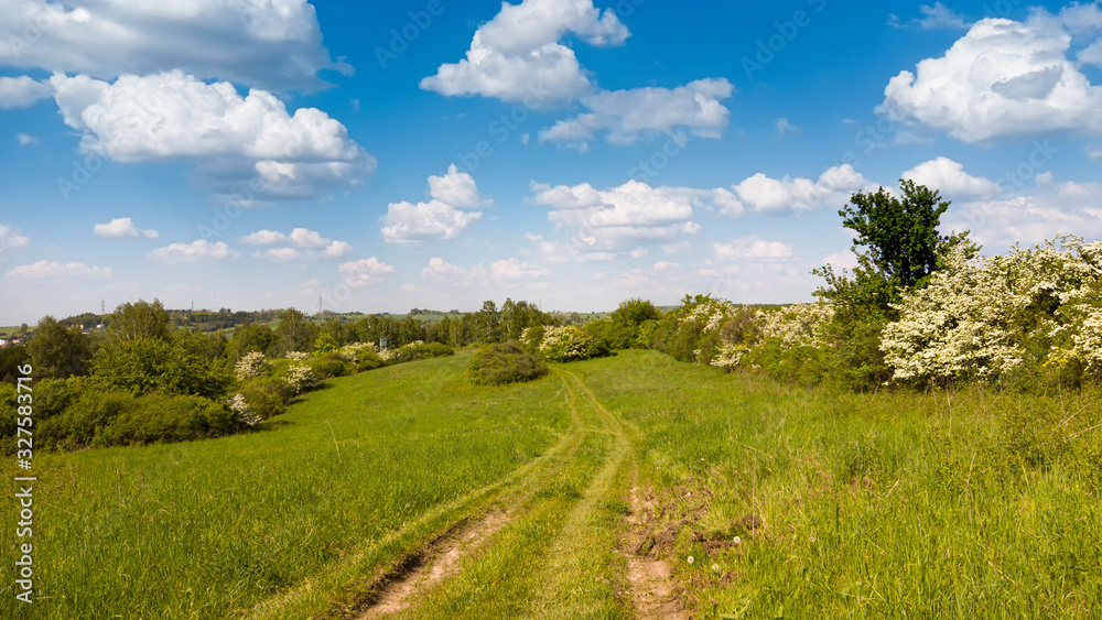 Field road in the village at sunny day Field road in the village at sunny day