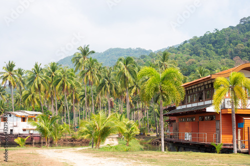 ships- hotels among the coconut palms in the jungle