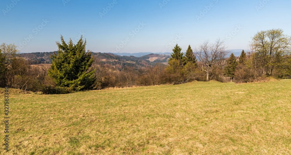 springtime mountain scenery with meadows, hills with forest partly devastated by timber harvesting and clear sky above