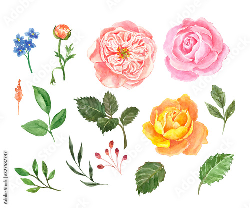Watercolor rose flowers set. Hand painted blush pink and orange roses, greene...