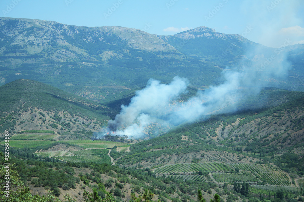 Forest fire background. Mountains burn pattern. A lot of smoke. The beginning of the fire.