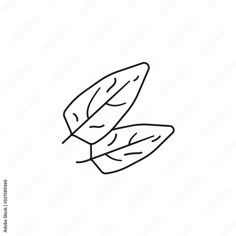 Spinach leaves vector line icon Spinach leaves vector line icon