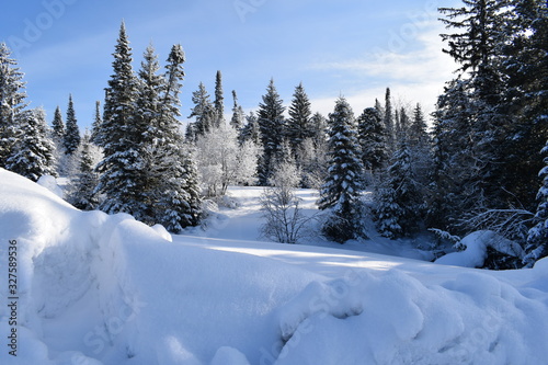 winter landscape with road and trees