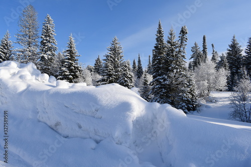 winter landscape with trees and snow © tanzelya888