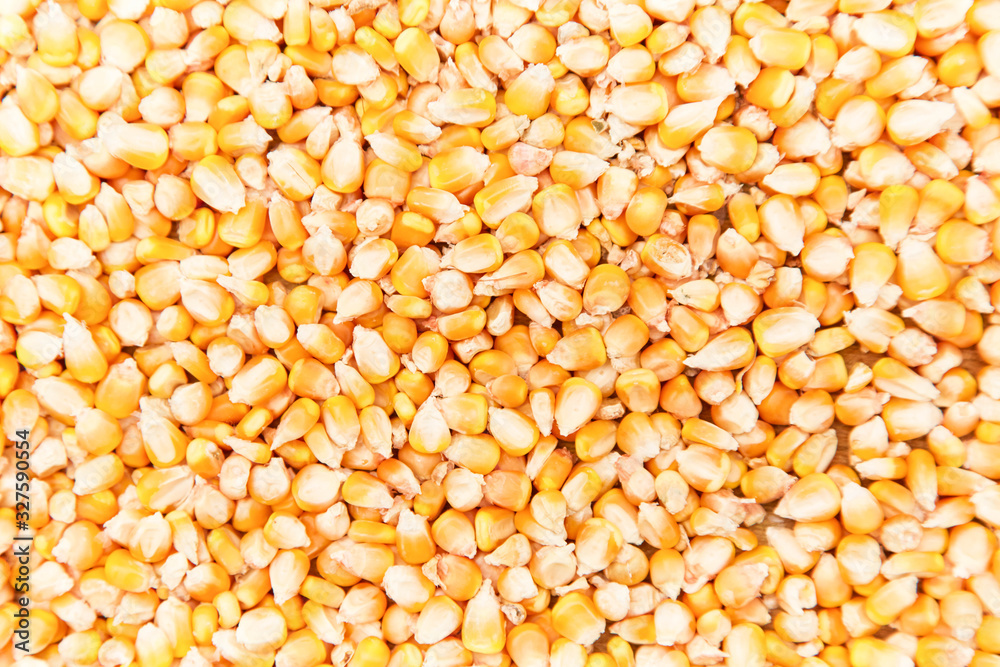 Full corn Full corn