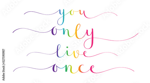YOU ONLY LIVE ONCE rainbow gradient vector brush calligraphy banners with swashes