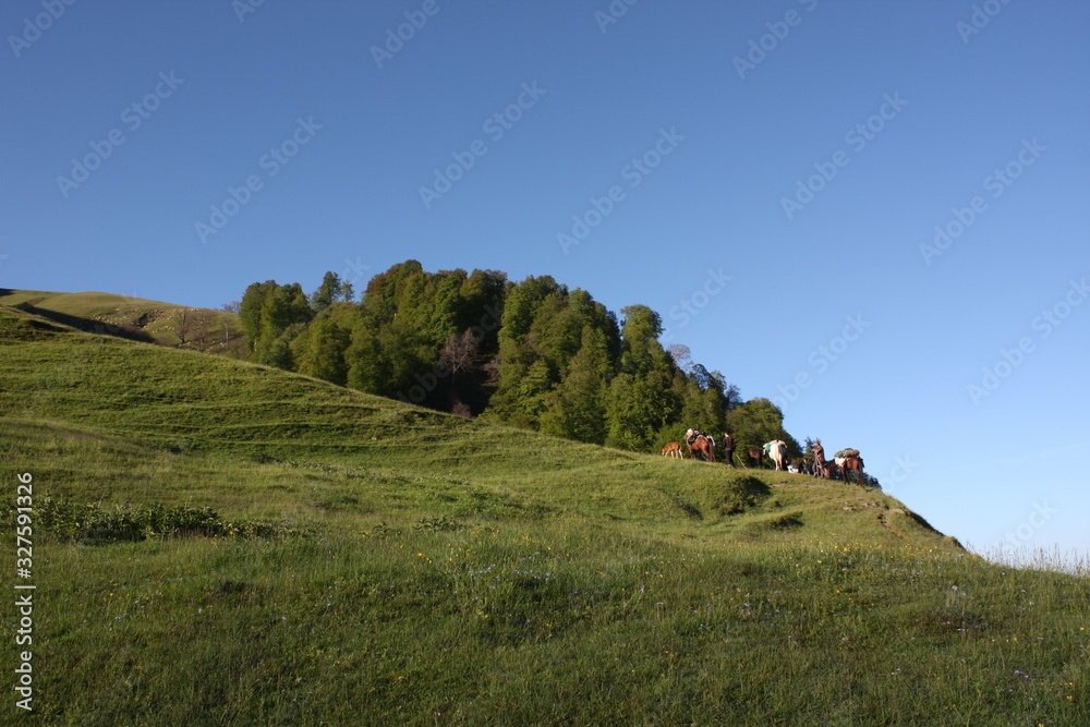 Obraz premium landscape in the mountains