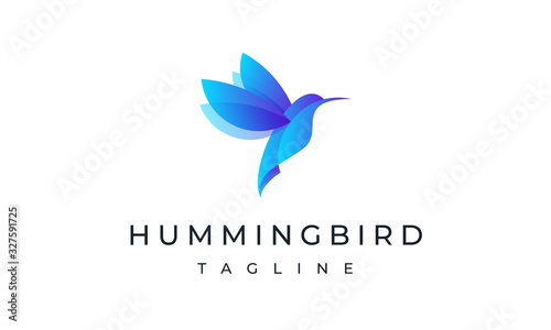 Hummingbird Logo - Colorful Bird Logo Art Design