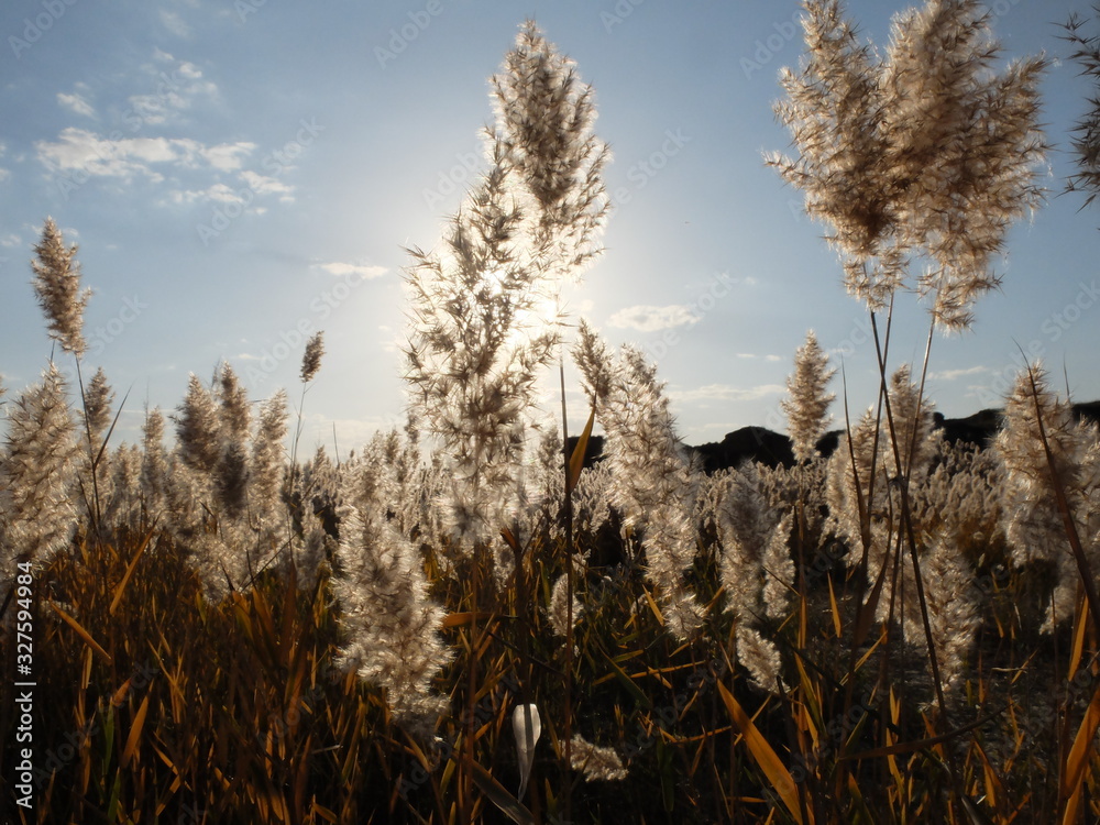 Fototapeta premium At sunset