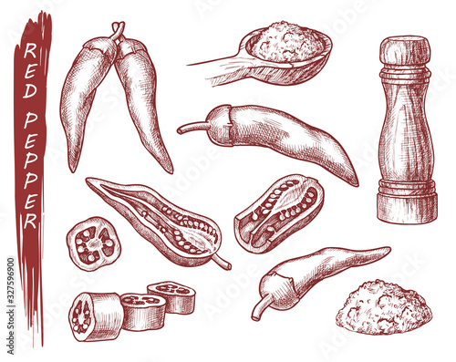 Red pepper spice seasonings, chili pepper sketch