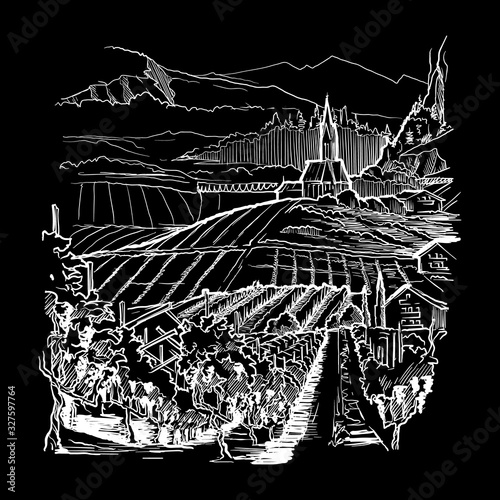 Vinyard in Tirol Alps, Austria. Rural panorama of the mountain valley with a grapevine plantation and village. Vintage design. Chalk on a blackboard. EPS10 vector illustration